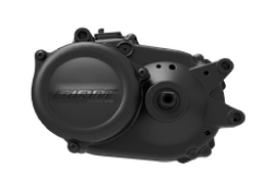 Deslimitador Yamaha PW (-2018)